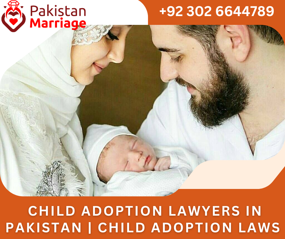  Child Adoption Lawyers