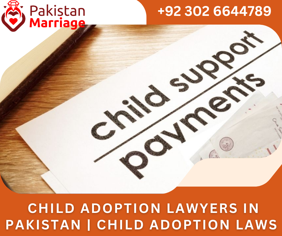  Child Adoption Lawyers